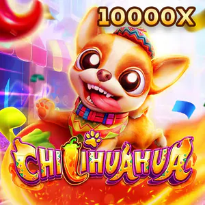 v9bet Fachai Chihuahua